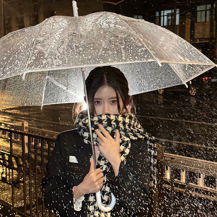 路德探长：落日之殇